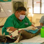 Gipahigayon ang nagkadaiyang veterinary services alang sa mga binuhing iro ug iring sa mga residente.