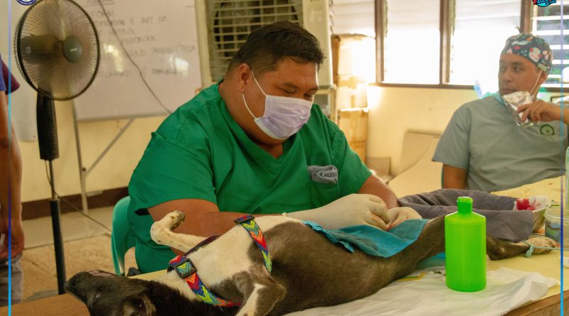 Gipahigayon ang nagkadaiyang veterinary services alang sa mga binuhing iro ug iring sa mga residente.