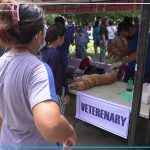 Serbisyong PAGLAUM nga lakip mga binuhing iro ug iring natabangan sama sa pagkapon ug laygit ug mga bitamina nga gihatag gikan sa buhatan sa ProVet.
