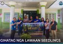LAWAAN SEEDLINGS GITUNOL SA PROVINCIAL LIBRARY NGADTO SA ENRO