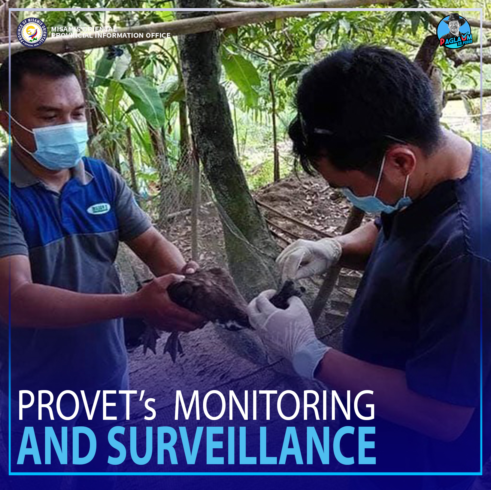 Personahe sa Provincial Veterinary Office sa pag-monitor sa New Castle Disease.