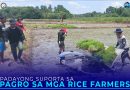 PAGRO PADAYON ANG SUPORTA SA MGA RICE FARMERS