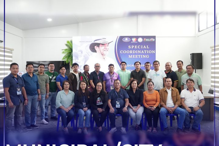 COORDINATION MEETING SA MUNICIPAL/CITY ENGINEERS SA PROBINSYA